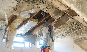 Environmental Consulting for Mold Prevention in Cutler, CA